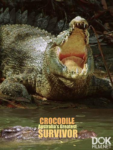 Австралийский крокодил - чемпион выживания/ Crocodile - Australia's Greatest Survivor (2024)