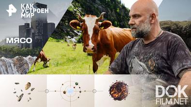 Как устроен мир с Тимофеем Баженовым. Мясо (01.12.2025)