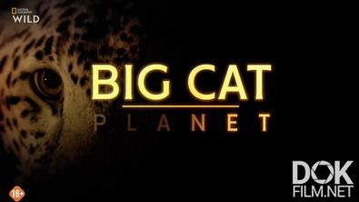 Планета больших кошек/ Big Cat Planet (2025)
