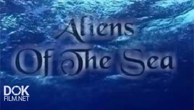 Подводный Космос / Aliens Of The Sea (2002)