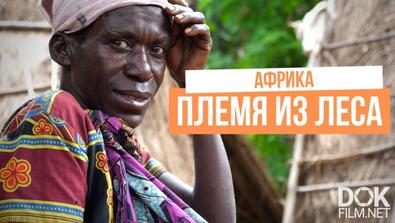 Хочу Домой. Уганда. Гориллы Выгнали Дикое Племя Из Леса В Африке (2020)