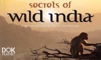 Секреты Дикой Индии / Secrets Of Wild India (2011)