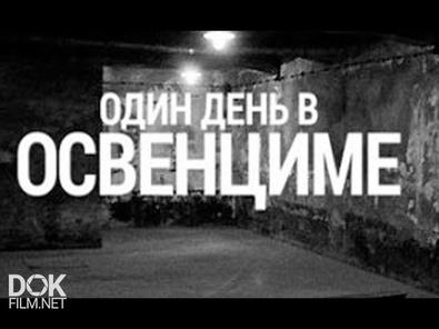 Один День В Освенциме / One Day In Auschwitz (2015)