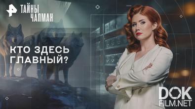 Тайны Чапман. Кто здесь главный? (05.10.2026)