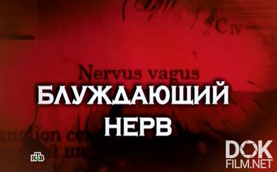 Следствие вели… Блуждающий нерв (2013)