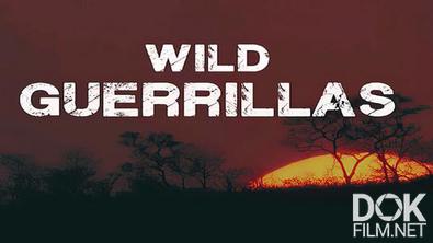 Мастера выживания/ Wild Guerrillas (2021)