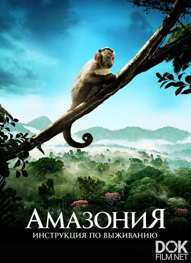 Амазония: Инструкция по выживанию/ Amazonia (2013)