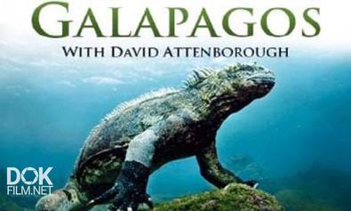 Галапагосы С Дэвидом Аттенборо / Galapagos With David Attenborough (2013)