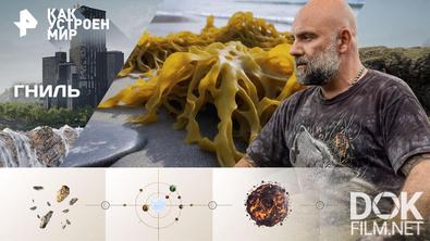 Как устроен мир с Тимофеем Баженовым. Гниль (05.03.2026)