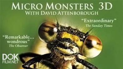 Микромонстры С Девидом Аттенборо / Micro Monsters With David Attenborough (2013)