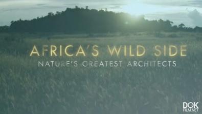 Дикие Места Африки/ Africa'S Wild Side (2018)