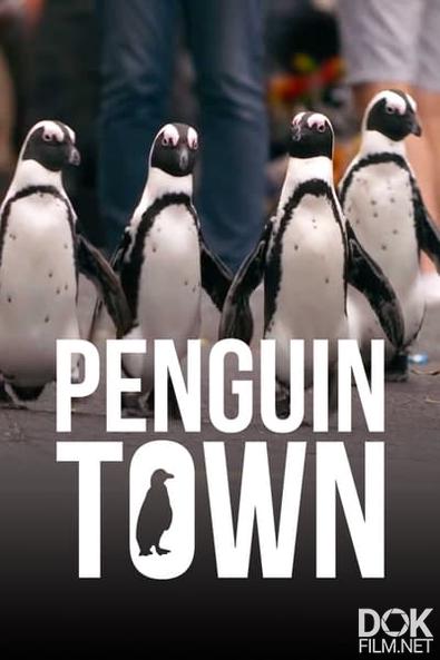 Город пингвинов/ Penguin Town (2021)
