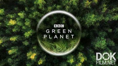 Зеленая Планета / The Green Planet (2012)