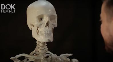Тайны Анатомии. Скелет (2020)