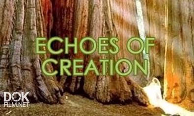 Отзвуки Творения / Echoes Of Creation (2011)