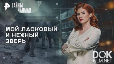 Тайны Чапман. Мой ласковый и нежный зверь (07.04.2026)