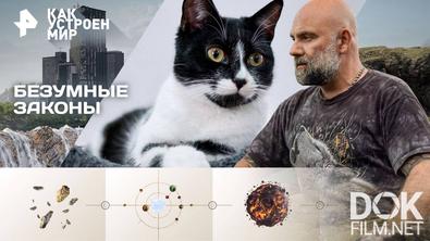 Как устроен мир с Тимофеем Баженовым. Безумные законы (29.10.2025)