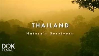 Неизведанный Индокитай: Таиланд/ Wildest Indochina: Tailand. Nature'S Survivors (2014)