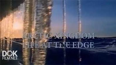 В Царстве Льда: Жизнь На Грани / Arctic Kingdom: Life At The Edge (1995)