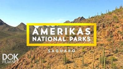 Национальные Парки Америки. Сагуаро / America\'S National Parks. Saguaro (2015)