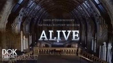 Лондонский Музей Естествознания Вживую С Дэвидом Аттенборо / David Attenborough\'S Natural History Museum Alive (2014)