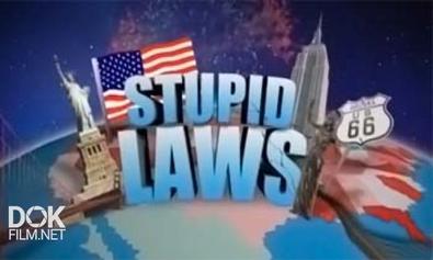 Нелепые Законы / Самые Нелепые Законы Америки / Stupid Laws (2013)