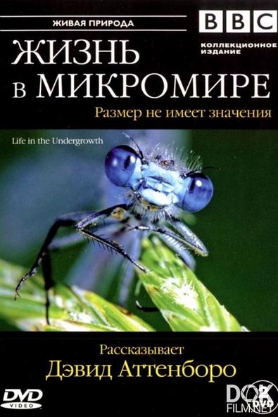 Жизнь в микромире/ Life in the undergrowth (2005)