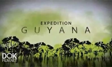Путешествие В Гайану / Expedition Guyana (2008)