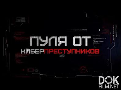 Расследование Эдуарда Петрова. Пуля от киберпреступников (2023)