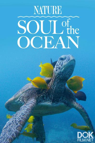 Душа океана/ Soul of the Ocean (2022)