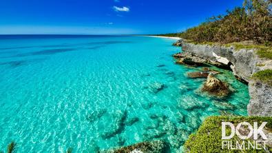 Новая Каледония. Страна чудес/ New Caledonia. A Land Of Wonders (2020)