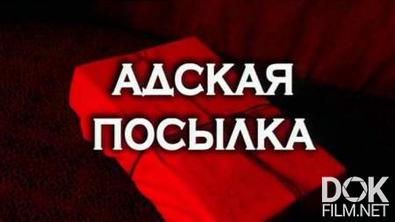 Следствие вели... Адская посылка (2013)