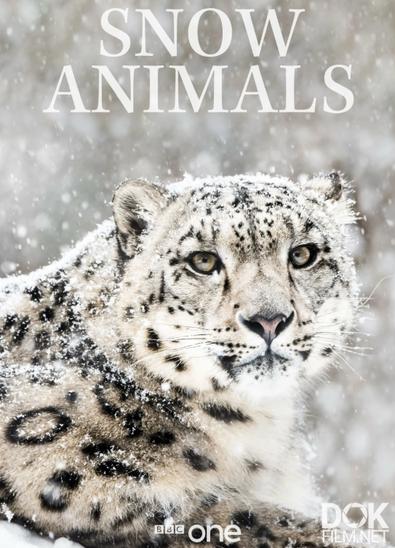 Звери в снегу (Зимняя сказка для зверей)/ Snow Animals (2019)