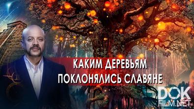 Загадки человечества с Олегом Шишкиным. Каким деревьям поклонялись славяне? (28.10.2021)