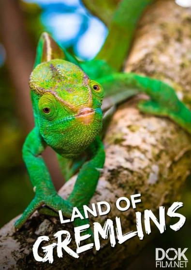Земля гремлинов/ Land of Gremlins (2015)