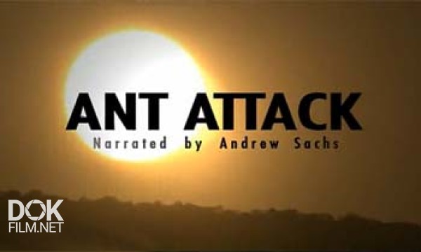 Муравьи Атакуют / Ant Attack (2006)