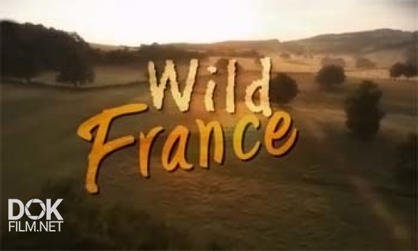 Дикая Франция. Царство Птиц / Wild France. Kingdom Of Birds (2011)