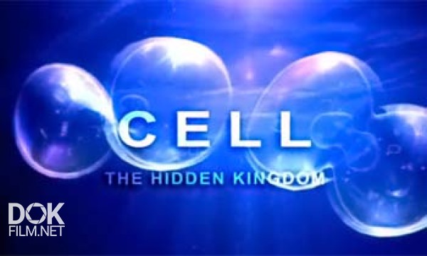 Клетка, Или Из Чего Состоит Жизнь / Cell. The Hidden Kingdom (2009)