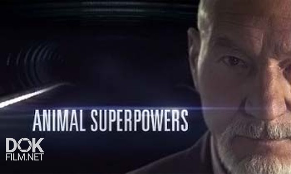 Суперспособности Животных: Экстремальная Самозащита / Animal Superpowers: Extreme Survivors (2012)