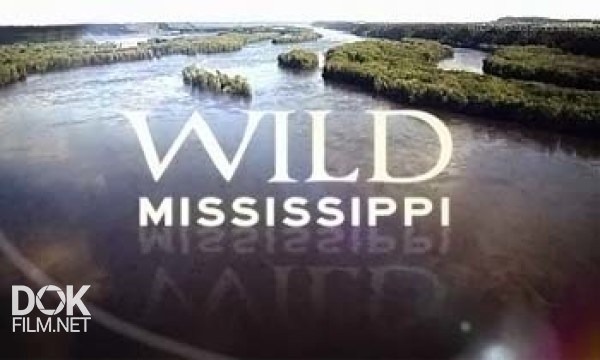Дикая Природа Миссисипи / Wild Mississippi (2011)