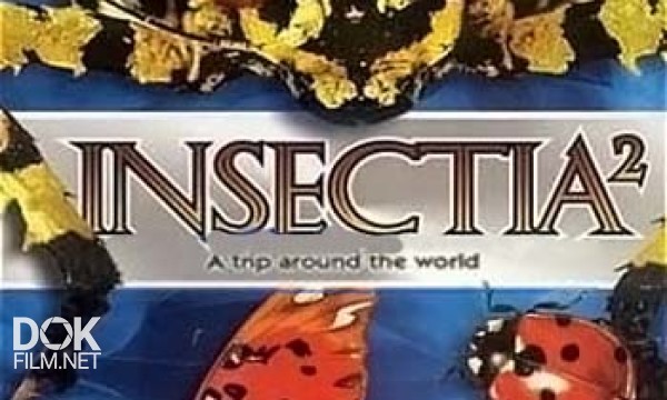 Страсти По Насекомым / Insectia / Сезон 2 (2001)