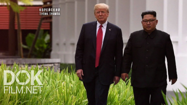 Специальный Репортаж. Корейский Тупик Трампа (2019)