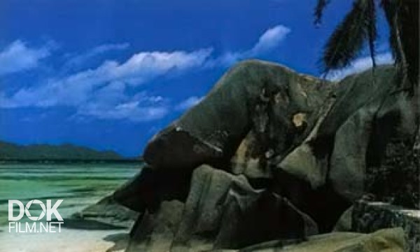 Золотой Глобус (069). Сейшельские Острова. В Сердце Океана (2010)