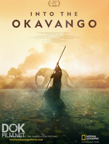 Далеко В Окаванго/ Into The Okavango (2018)