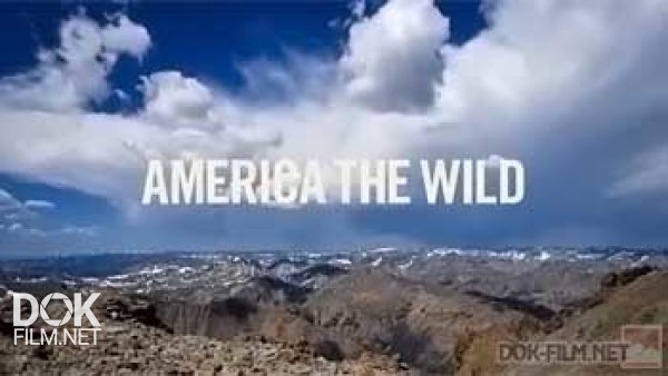 Дикая Америка / America The Wild / Сезон 2 (2011)