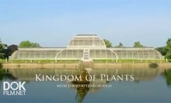 Царство Растений / Kingdom Of Plants (2012)