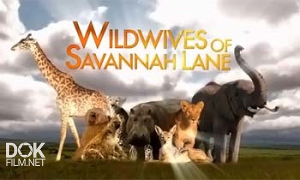 Свирепые Дамы Саванны Лейн / Wildwives Of Savannah Lane (2012)